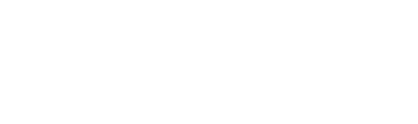 Segurity International